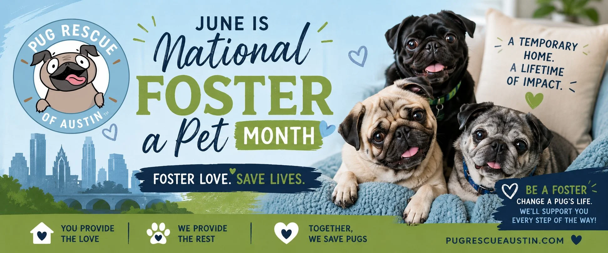 June is National Foster a Pet Month