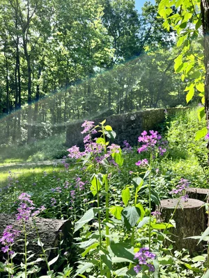 Tours & Tastings — J Henry & Sons