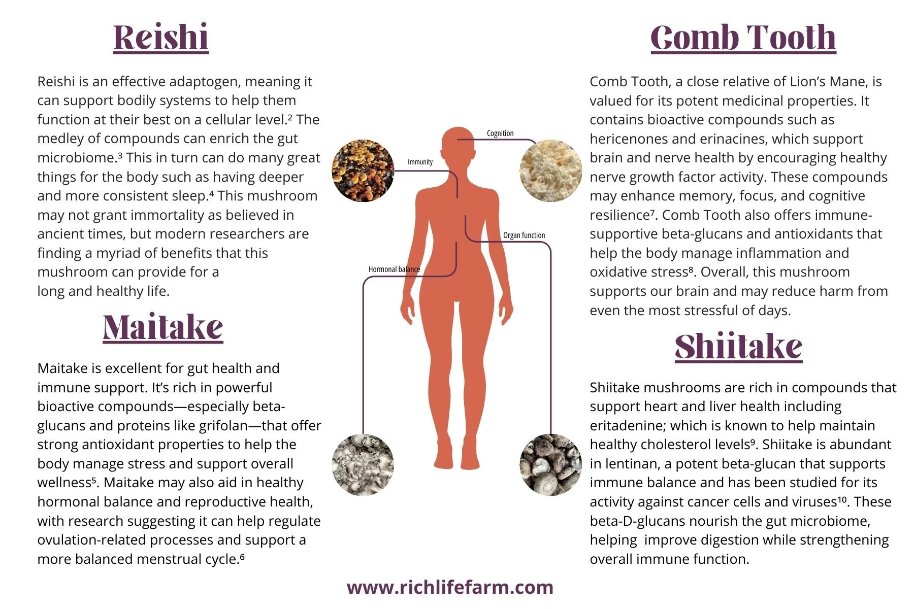 WBH Info Card SIDE 2.jpg