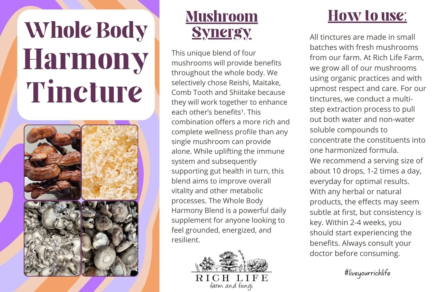 WBH Info Card SIDE 1.jpg