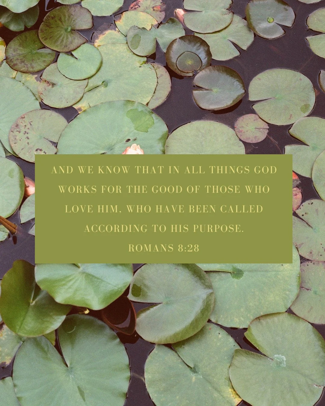 Even in fear, God is at work. Romans 8:28 reminds us that all things work together for good, even the things that scare us. This week, we&rsquo;re diving into Exodus 1 and seeing how God moved even in the oppression and fear of His people.