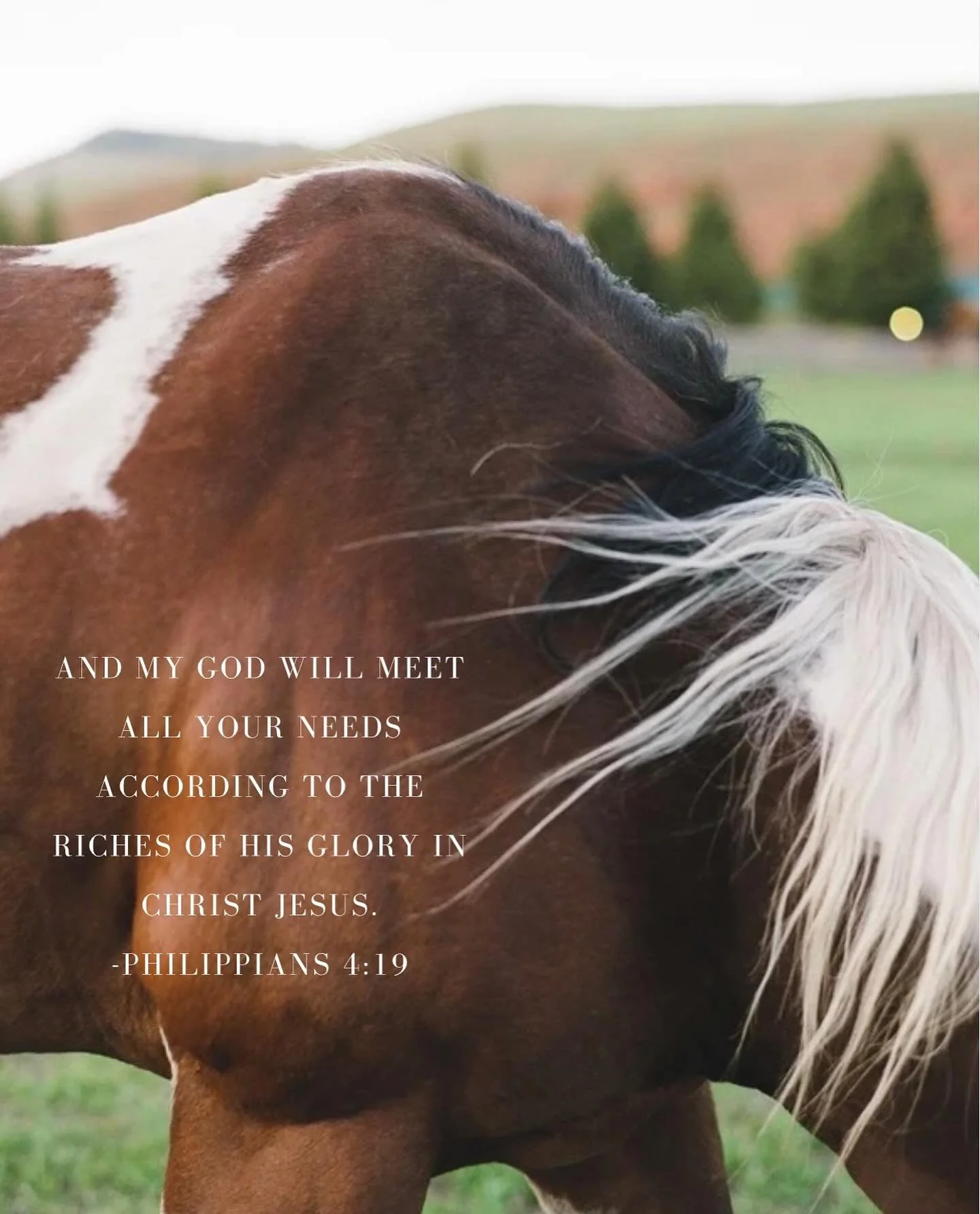 When the future&rsquo;s unclear, or the needs feel too big, remember this: &lsquo;And my God will meet all your needs according to the riches of his glory in Christ Jesus.&rsquo; - Philippians 4:19 🕊️ He&rsquo;s not running low on provision, peace, 