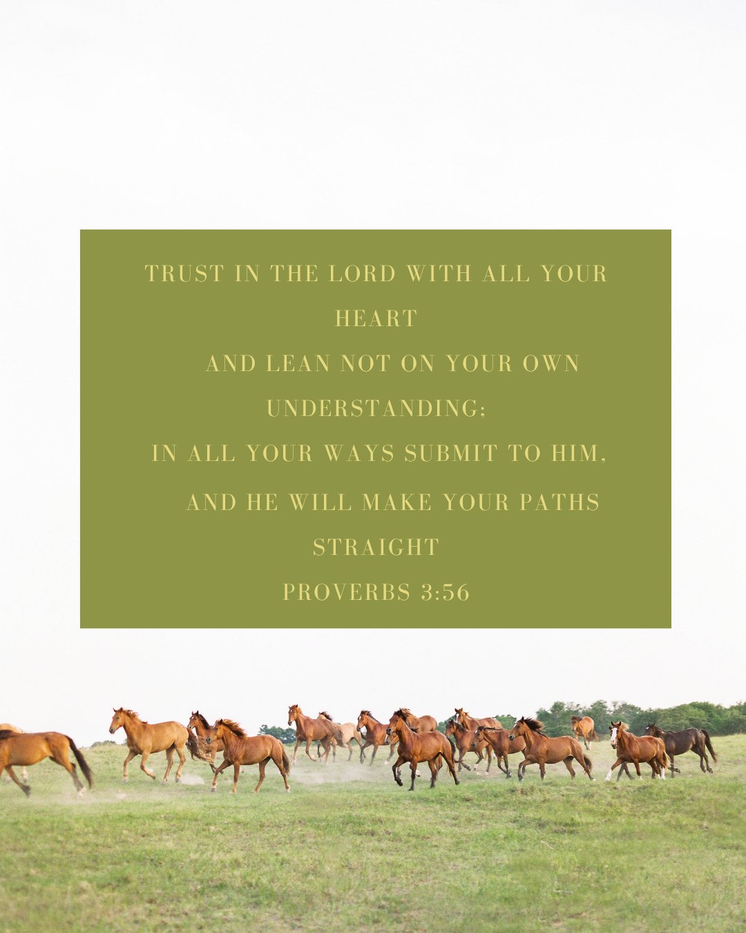 Sometimes the hardest thing is letting go of control, but that&rsquo;s where faith begins. Lean into His wisdom today.