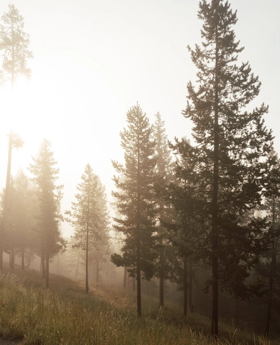 We received a question the other week, and now we want to share the answer! ⁠
-⁠
Mark 13:31 says, &ldquo;Heaven and earth will pass away, but my words will never pass away.&rdquo; I thought we lived with God in eternity in heaven. I understand that t