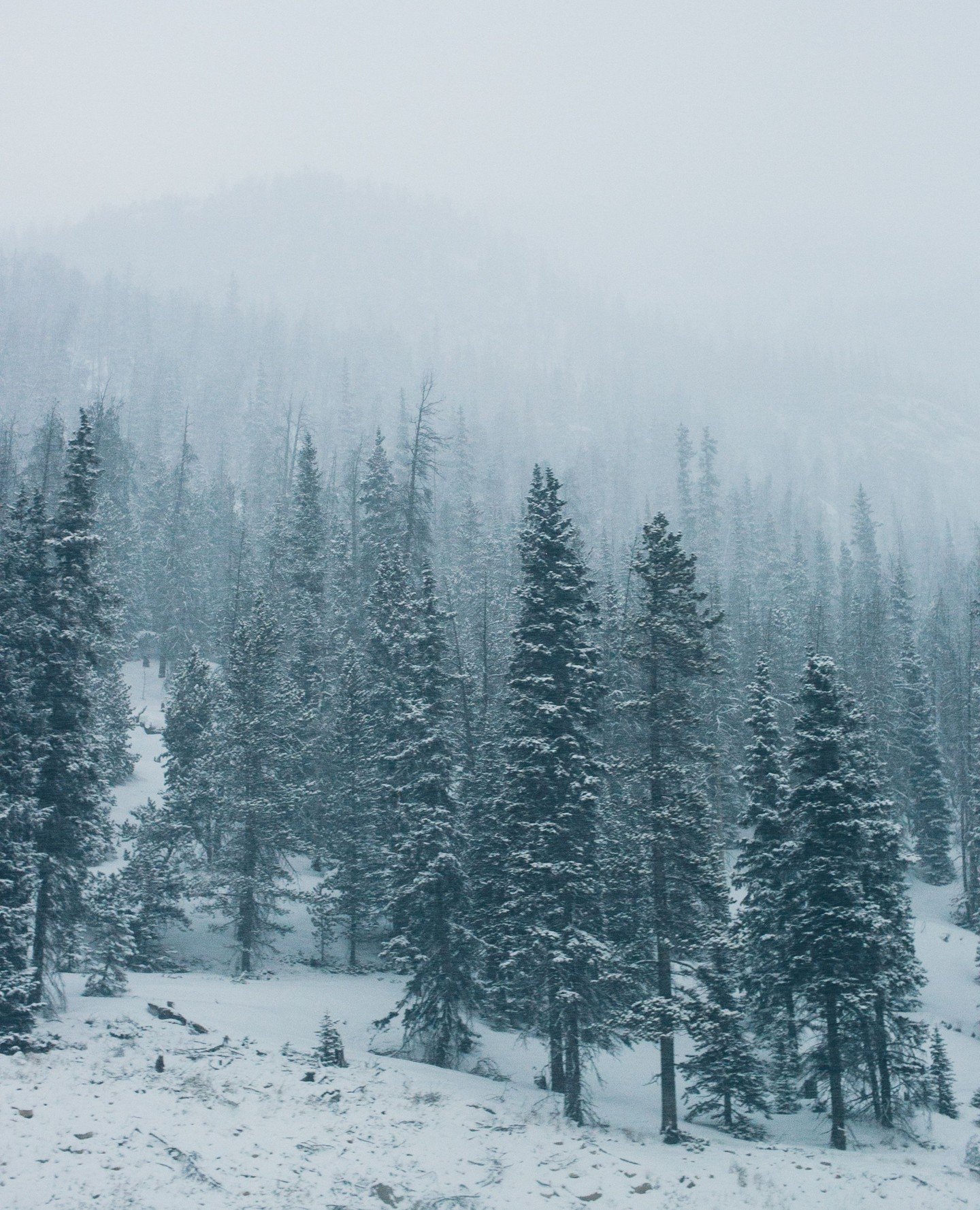 What better way to kick of the Christmas Season than by admiring God's gift to us all?! ⁠
-⁠
Scroll through to see the world through @kilpat's lens