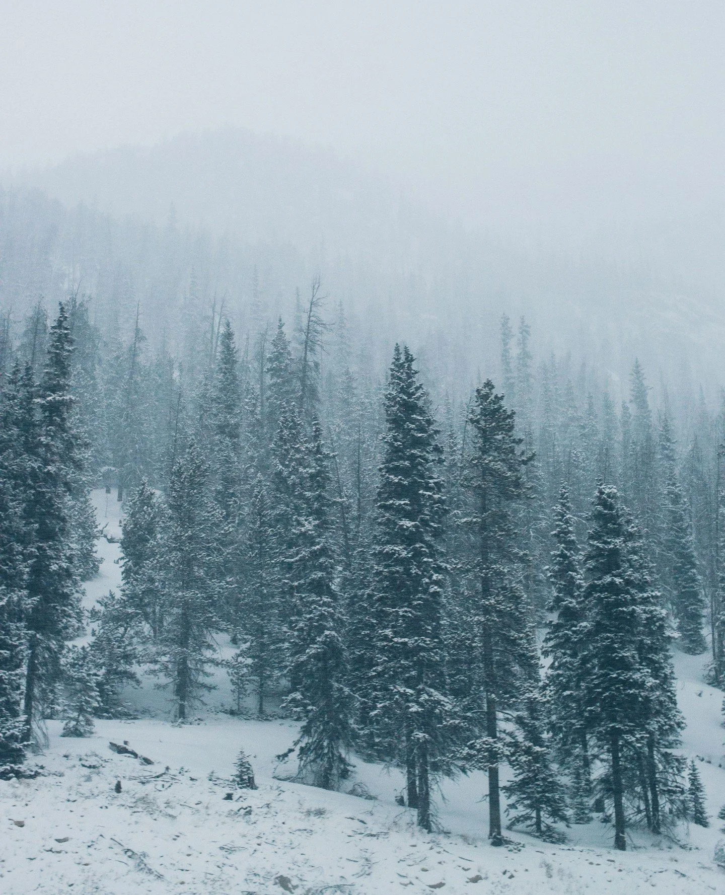 What better way to kick of the Christmas Season than by admiring God's gift to us all?! ⁠
-⁠
Scroll through to see the world through @kilpat's lens