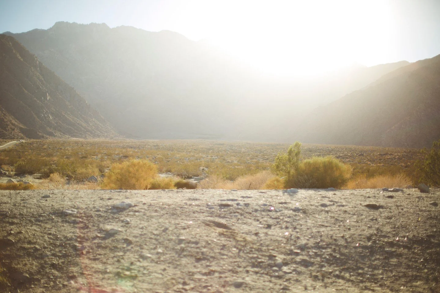 A Note from Kathy on this week's lesson:⁠
Girls, I don&rsquo;t know about you, but so far, Exodus has been such an adventure&mdash; full of narrow escapes, miraculous deliverances, and dramatic encounters with the almighty I AM!  Most of the lessons 