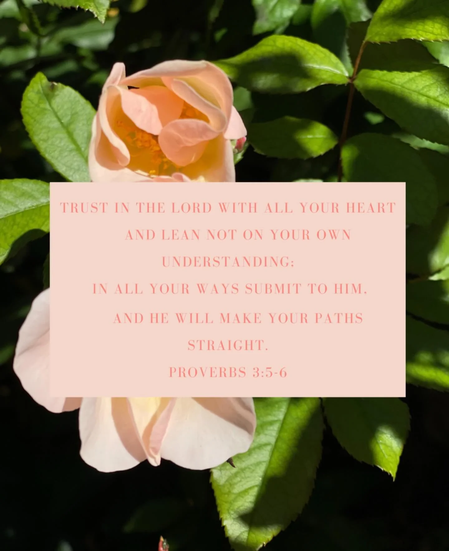 As we draw closer to the end of our journey, we encourage you &mdash; don&rsquo;t lose focus. Stay on the path. We are heading to the Promised Land! God has not brought us this far to leave us wandering in the wilderness. He is always faithful to fin