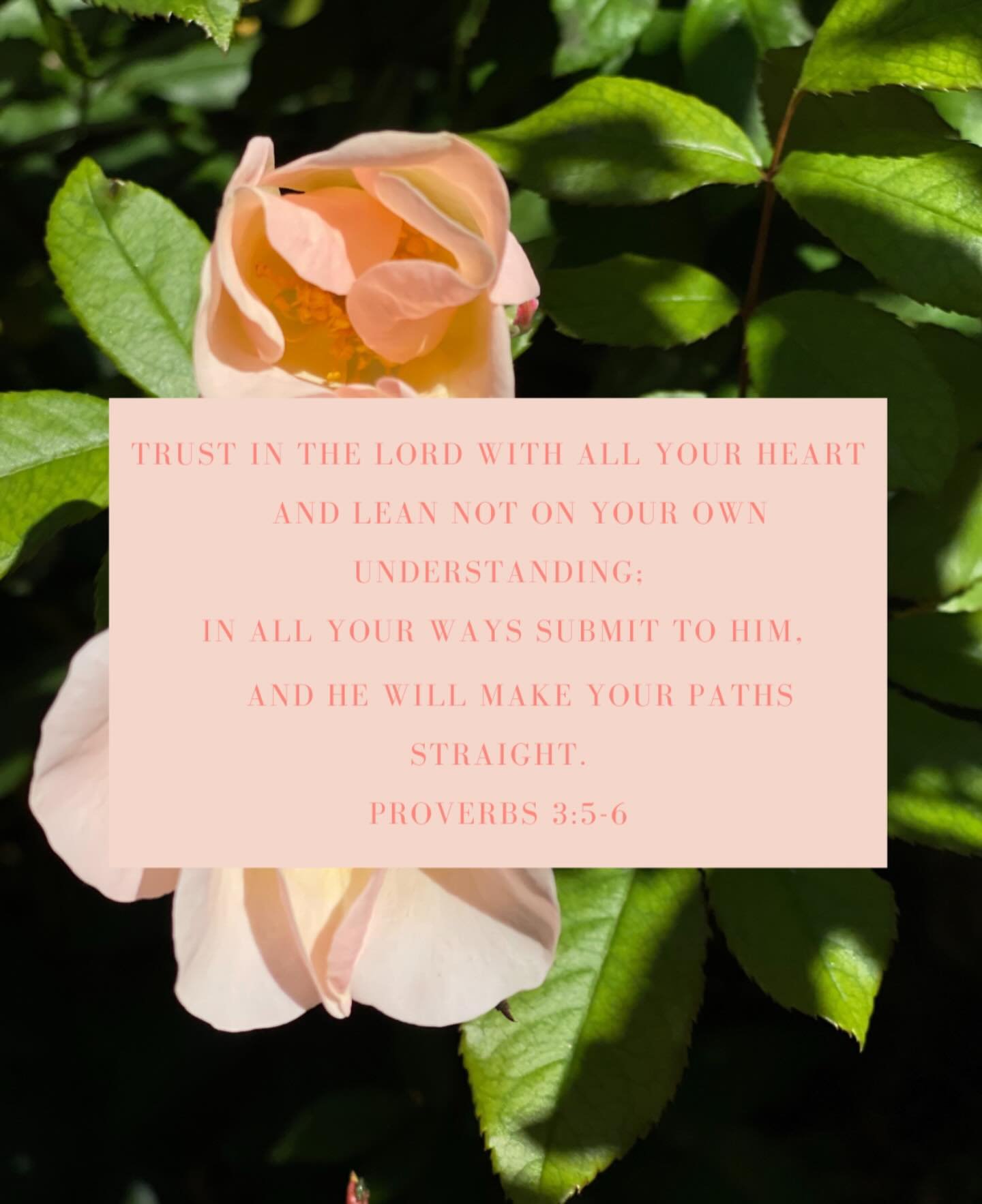 As we draw closer to the end of our journey, we encourage you &mdash; don&rsquo;t lose focus. Stay on the path. We are heading to the Promised Land! God has not brought us this far to leave us wandering in the wilderness. He is always faithful to fin