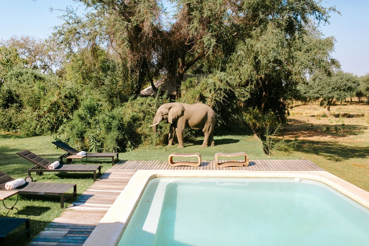 Happy Spring Break!! We do not have a lesson this week, but keep an eye on our Instagram for more fun 🤍