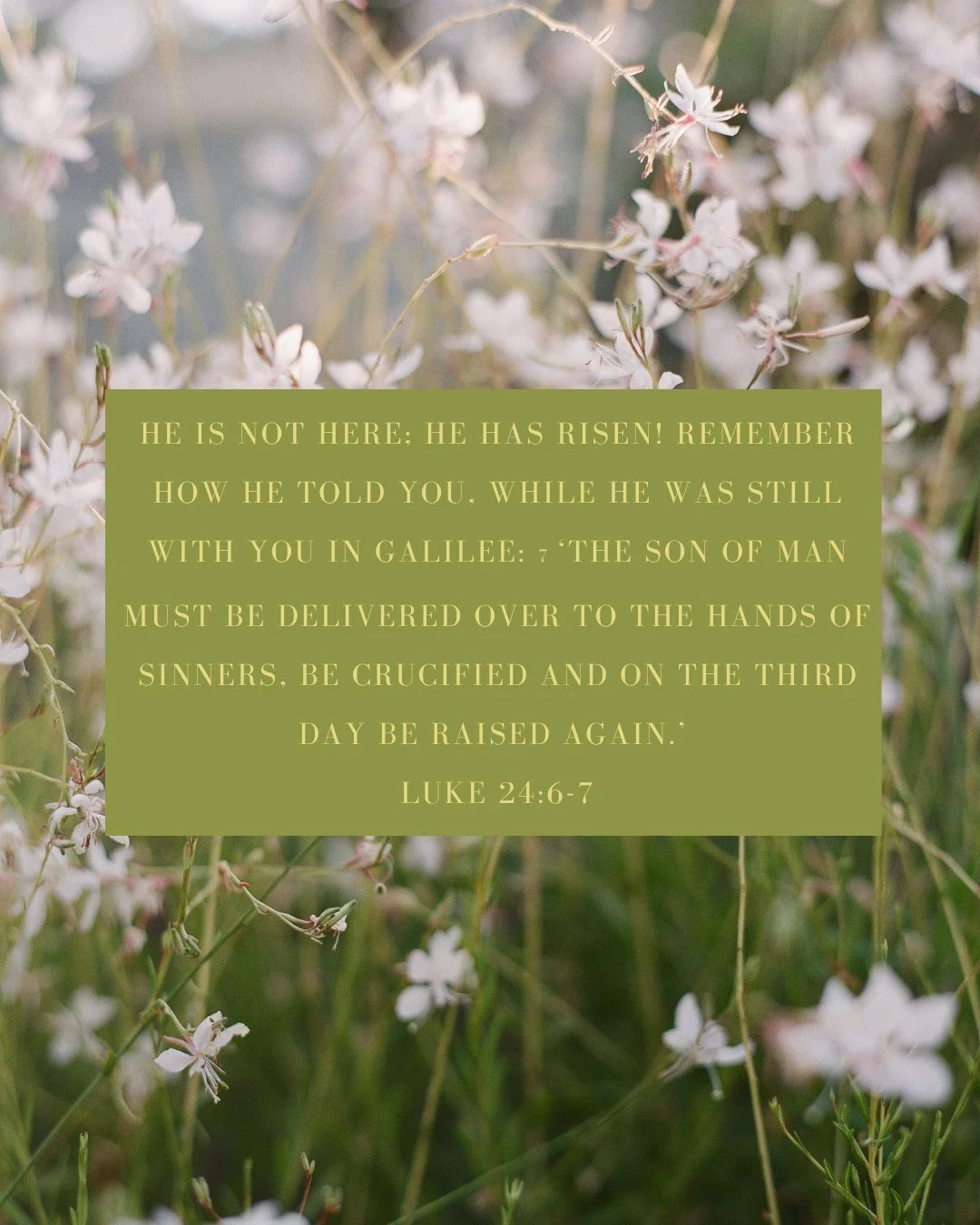 He is risen 🤍 What looked like the end was only the beginning.⁠
-⁠
Hope is alive. Grace is here. Love has won.⁠
-⁠
Happy Easter from our @HOME family 🕊️