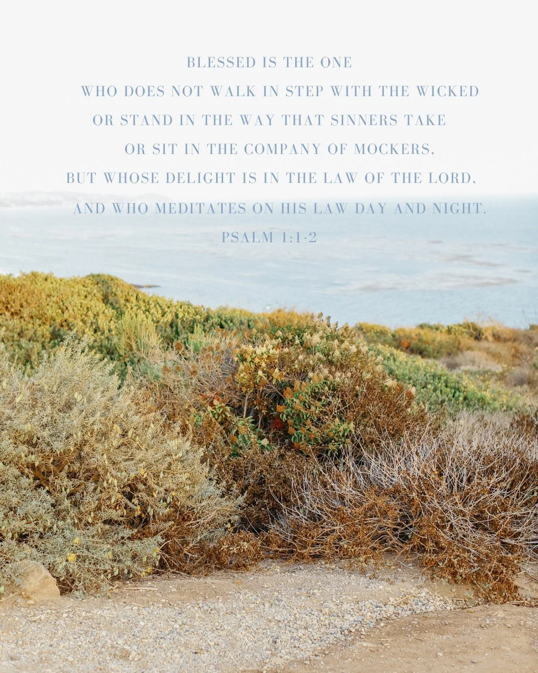 What are you delighting in this summer?⁠
-⁠
It&rsquo;s so easy to fill our time with things that don&rsquo;t actually fill us. But Scripture reminds us that real joy is found in God&rsquo;s Word.⁠
-⁠
This week, let&rsquo;s come back to that. 🤍