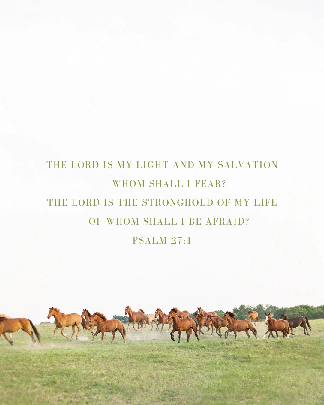 Fear feels loud, but God is louder. You are not walking into this week alone. What fear are you giving to God today?