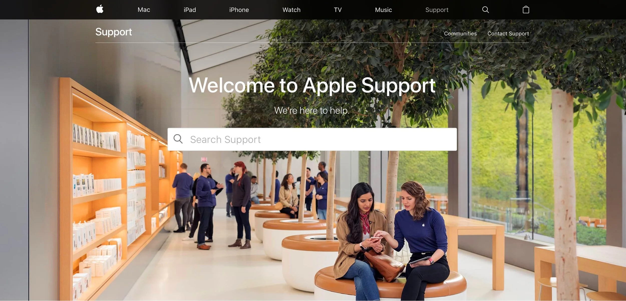 AppleSupportHomepage copy.jpeg