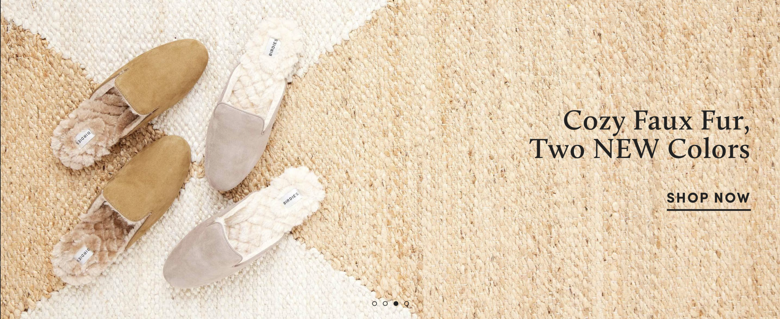 Screen Shot 2021-02-19 at 10.17.25 AM.png