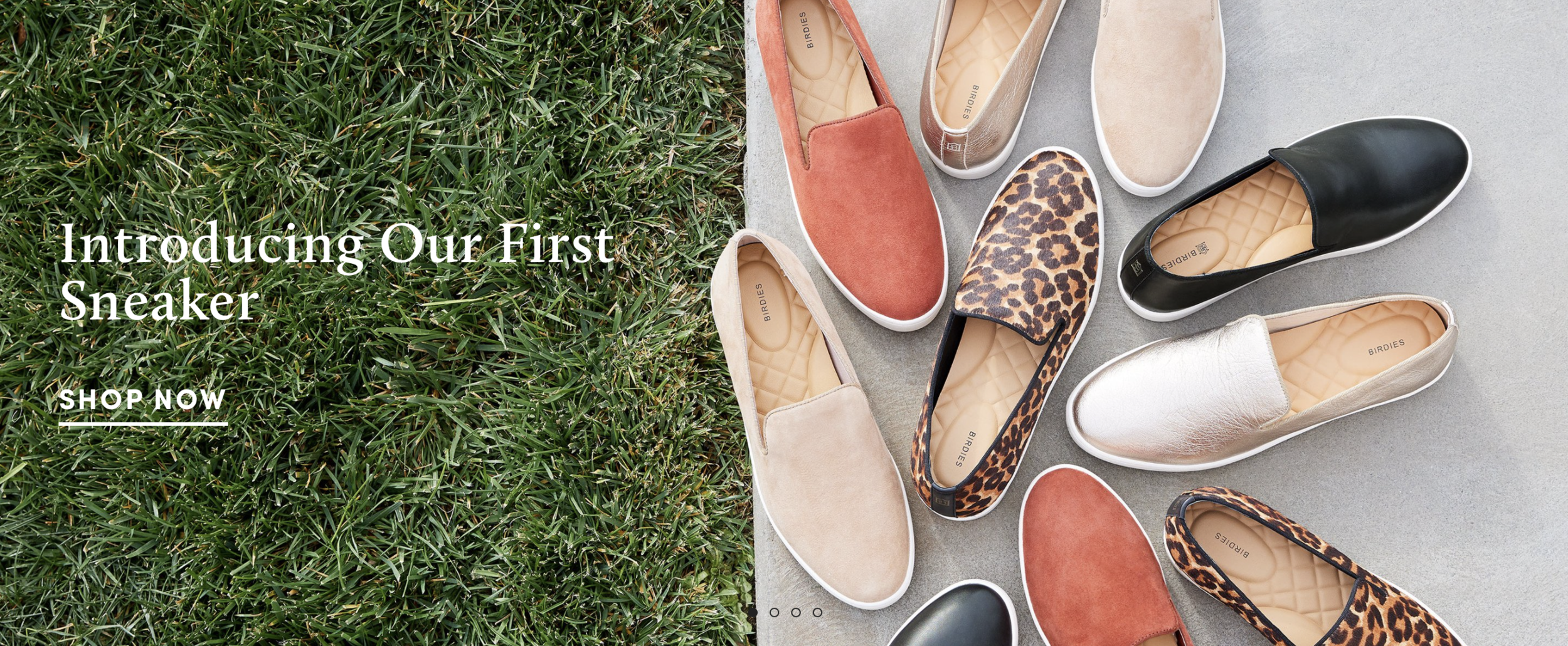 Screen Shot 2021-02-19 at 10.16.37 AM.png