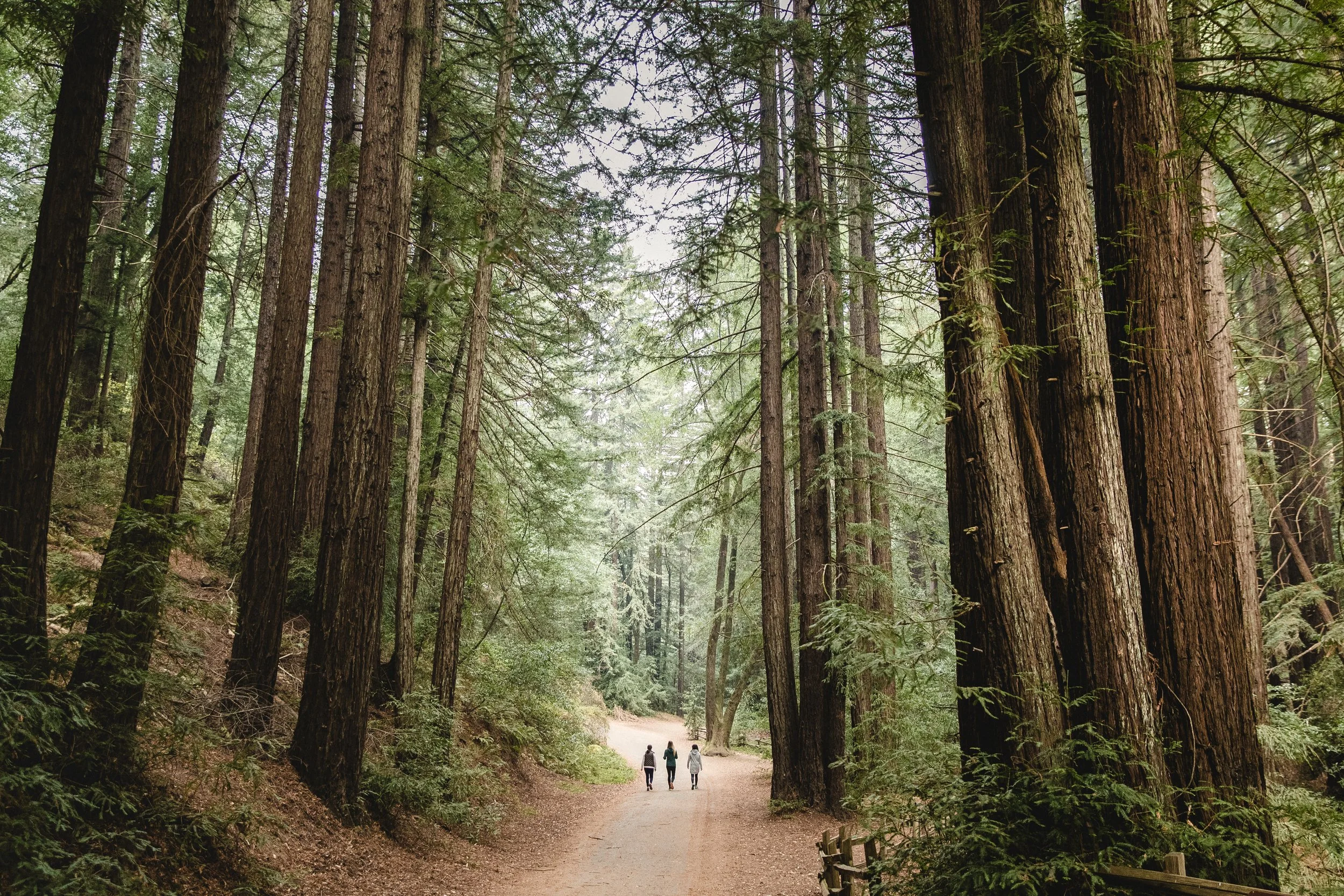 0517_YOGA HIKE_04449.jpg