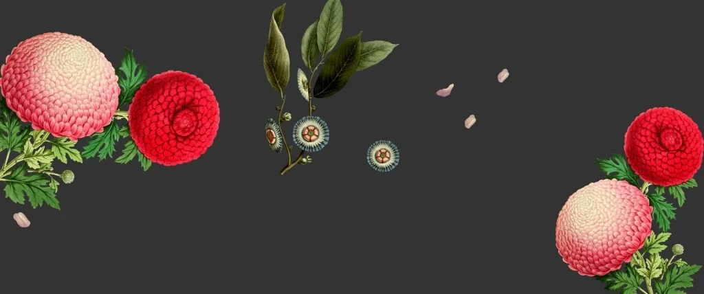 Digital-Assettes-Header3-1024x428.jpg