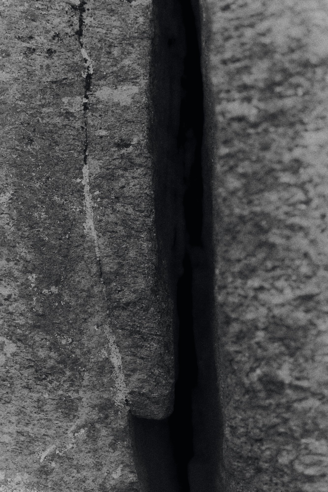 DSC09436.jpg