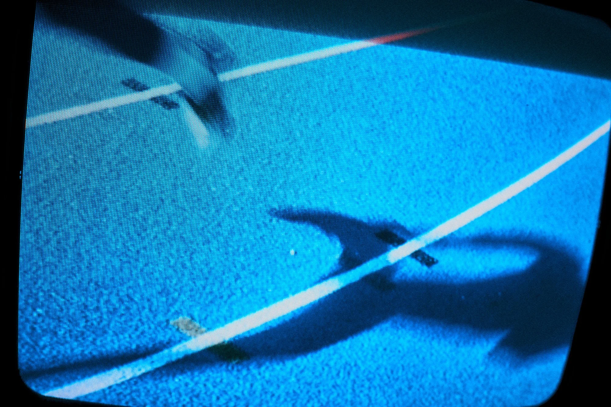 A shark swimming in an aquarium tank with blue water and white lines.
