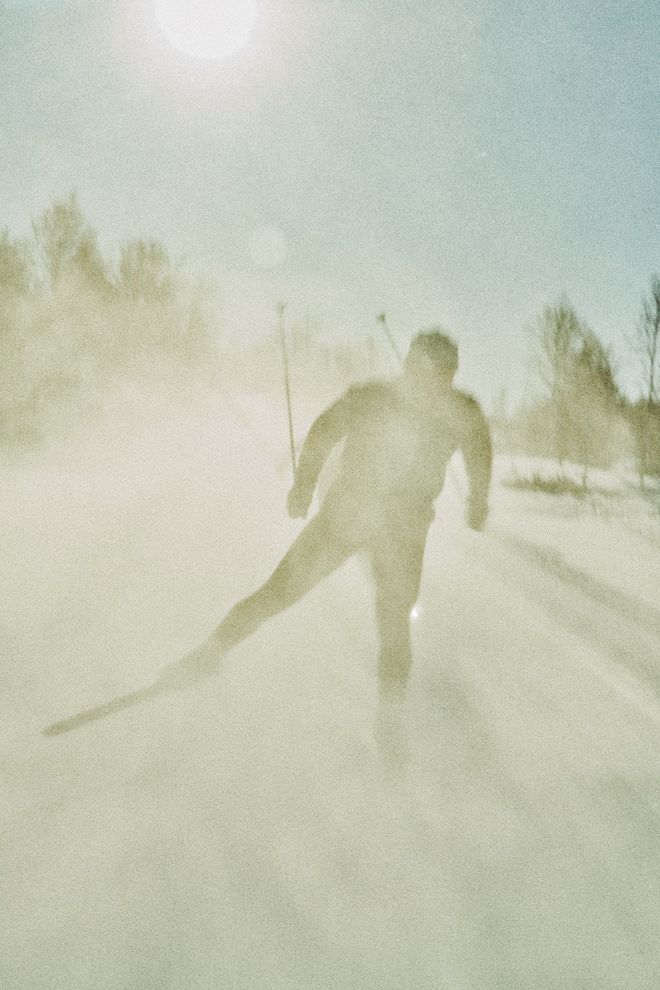 A person cross-country skiing on a snowy trail with trees and a bright sun in the sky.
