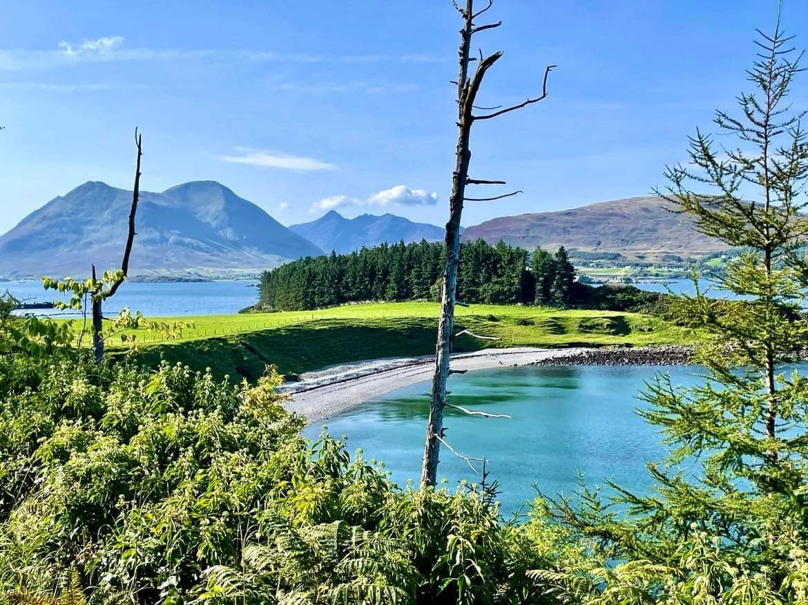 Scenic landscape with mountains, blue water, grassy fields, and trees on a sunny day.