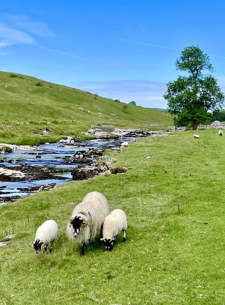 Spirit of Christmas In The Yorkshire Dales