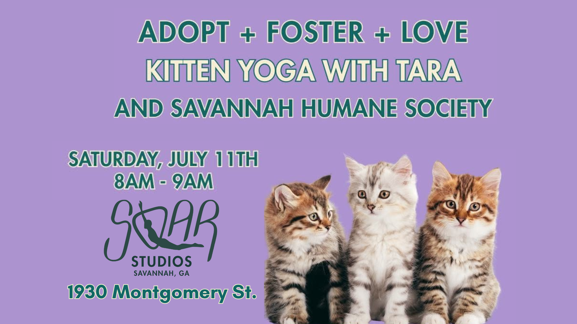 Kitten Yoga with SOAR Studios