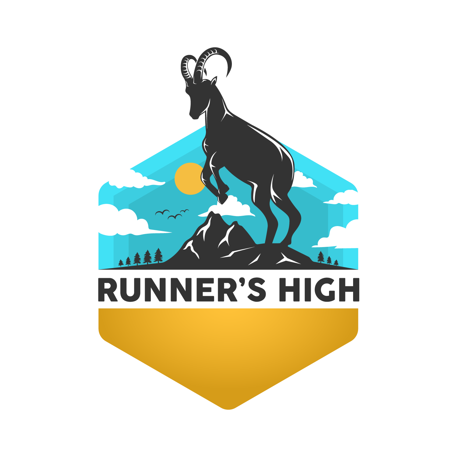 Runner's High Institute