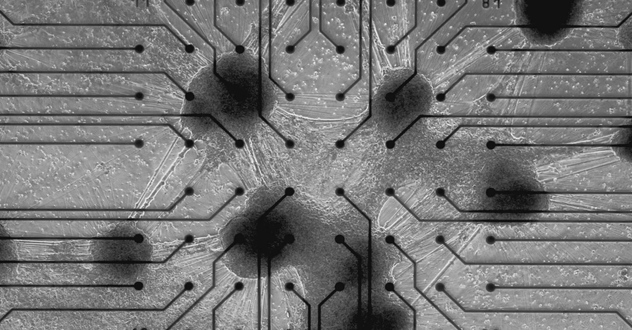 Cognition Without Brains: How Memory Emerges in Polymers, Cells, and Spacetime