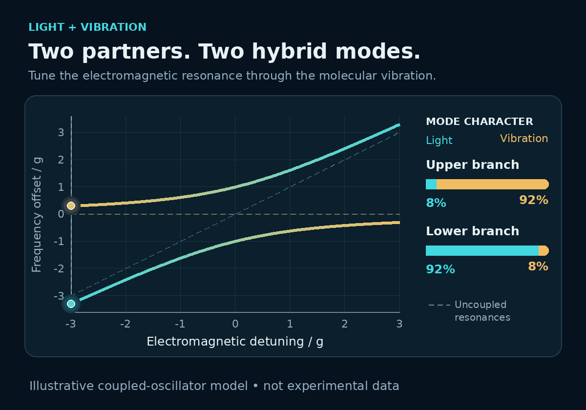 Animated illustrative graph of two polariton branches avoiding a crossing as electromagnetic detuning changes. The branches exchange light and vibration character, with equal mixtures at resonance.