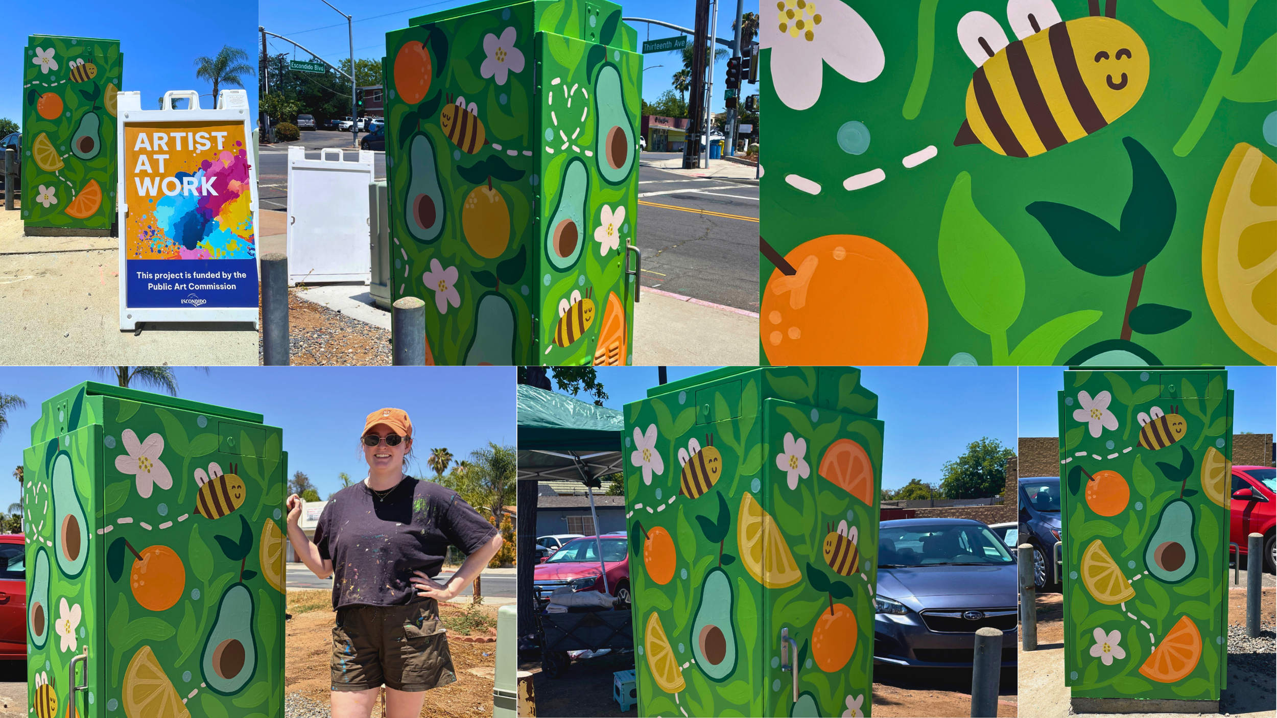Utility box artwork painted by San Diego artist Becca Dwyer as part of a Southern California public art project.