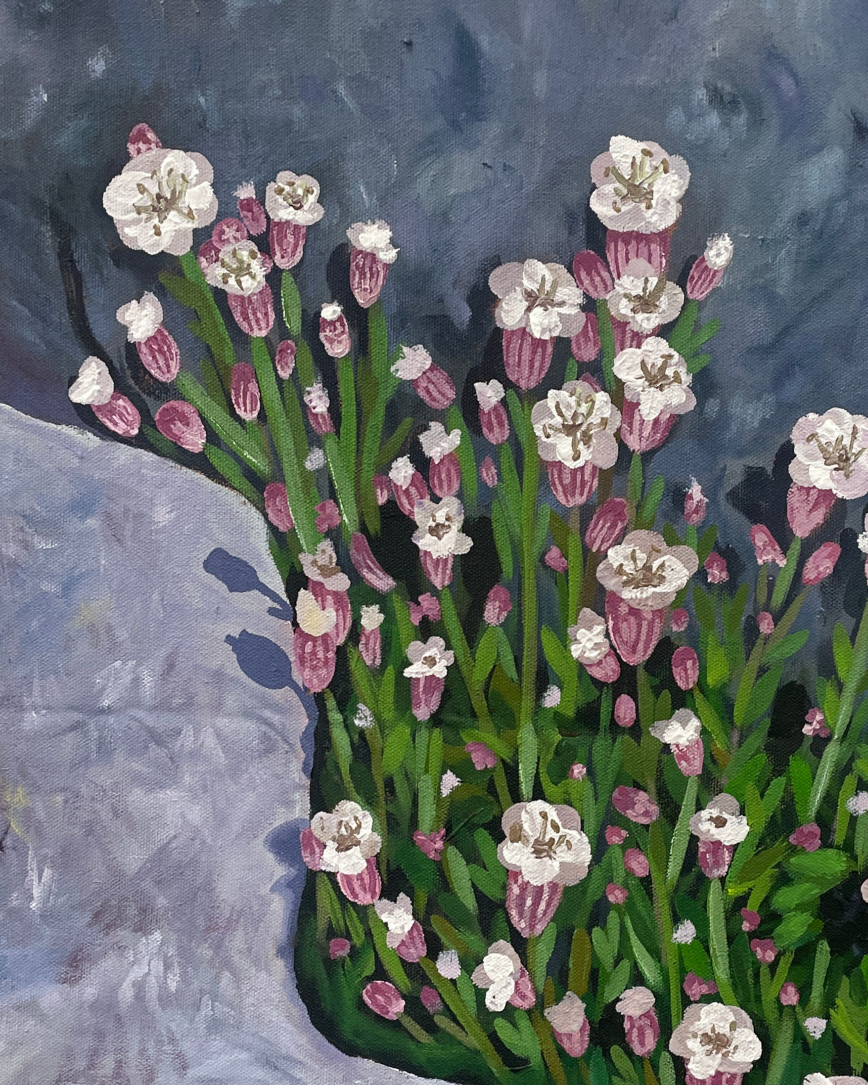 Ireland Wildflowers, Acrylic on Canvas, 2026, 16" x 20" Framed - $450