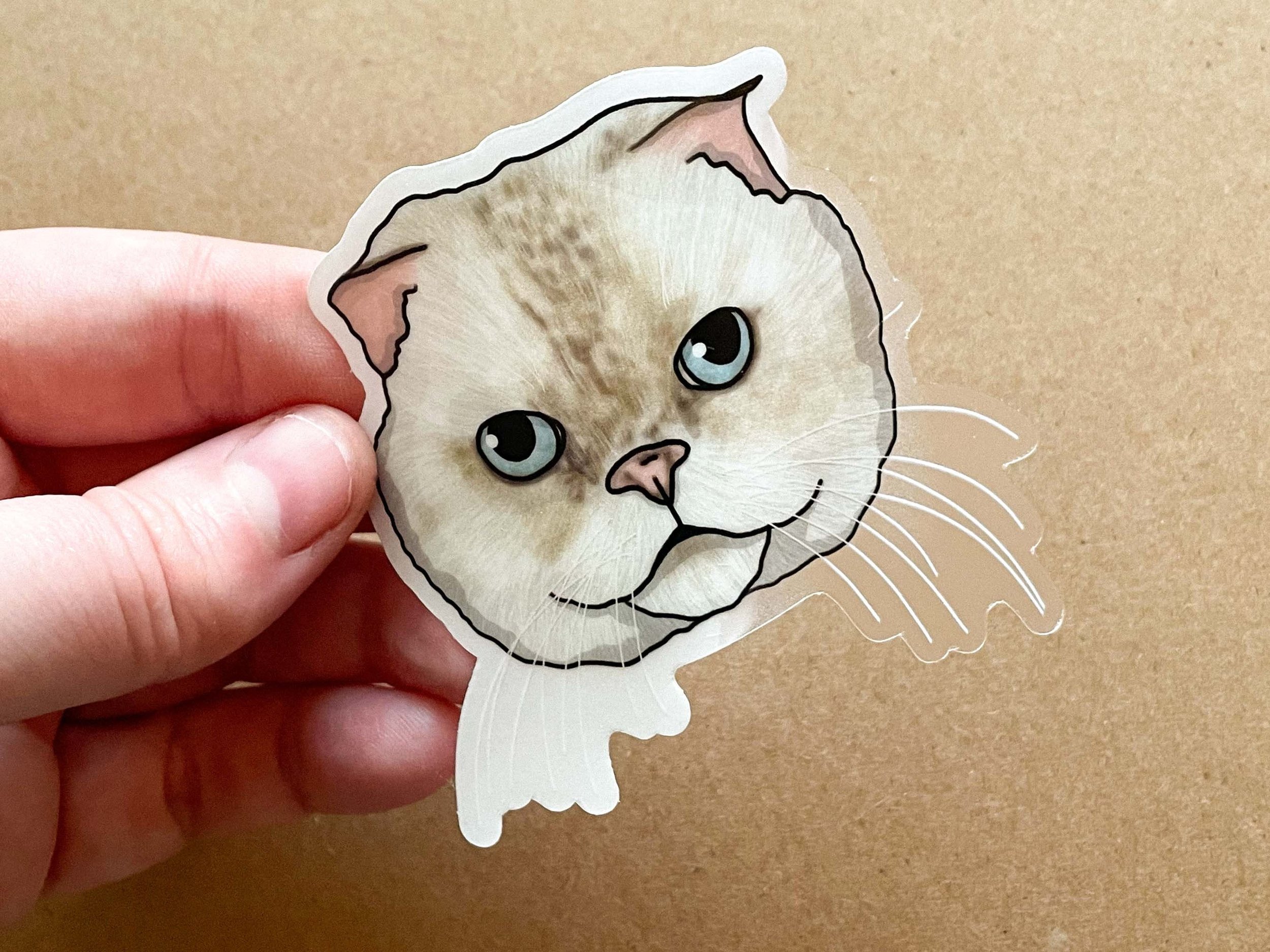 https://i.etsystatic.com/24328206/r/il/e9d857/3630239444/il_fullxfull.3630239444_8s7z.jpg