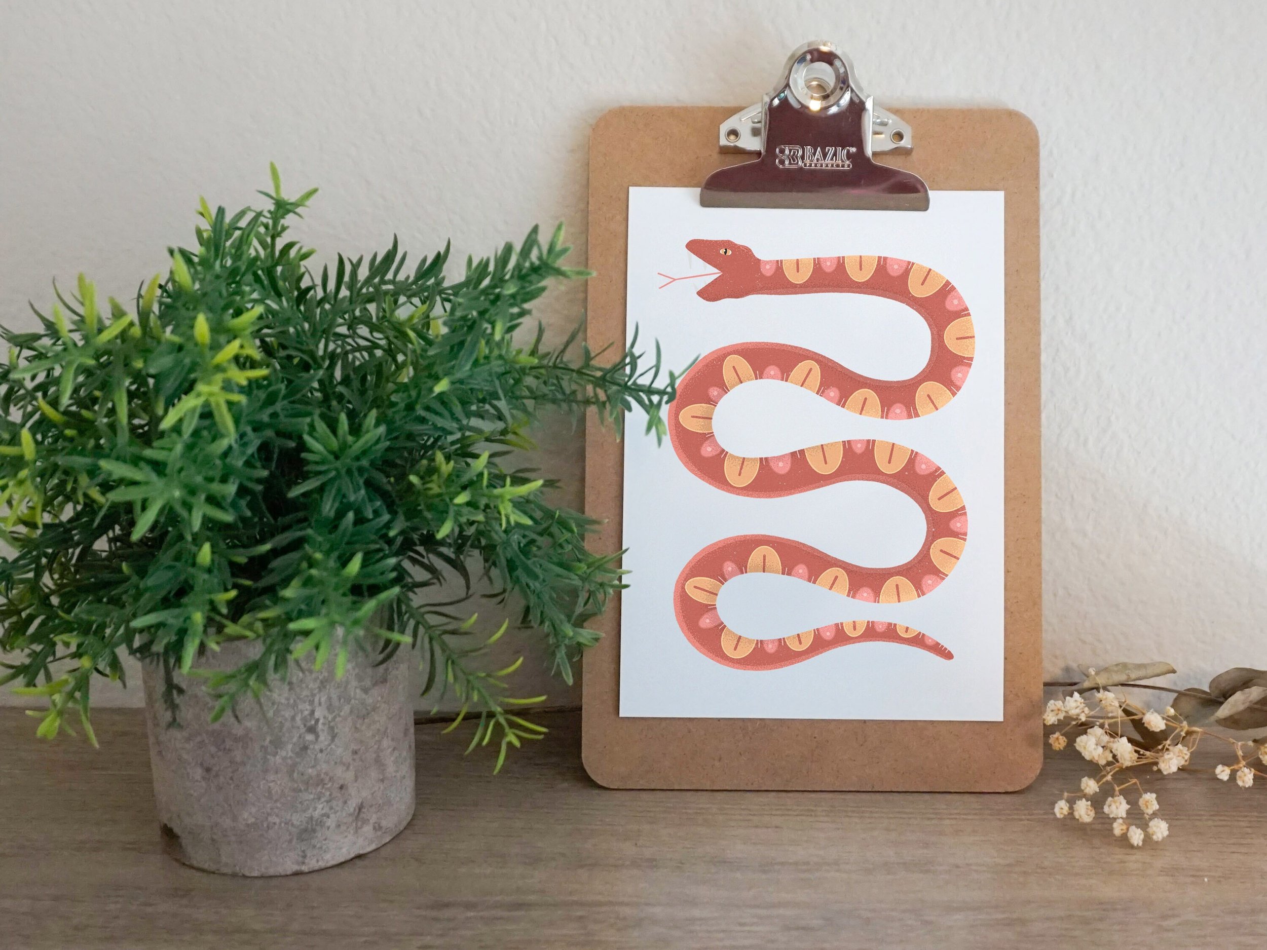 https://i.etsystatic.com/24328206/r/il/b500be/3820264962/il_fullxfull.3820264962_vv7p.jpg