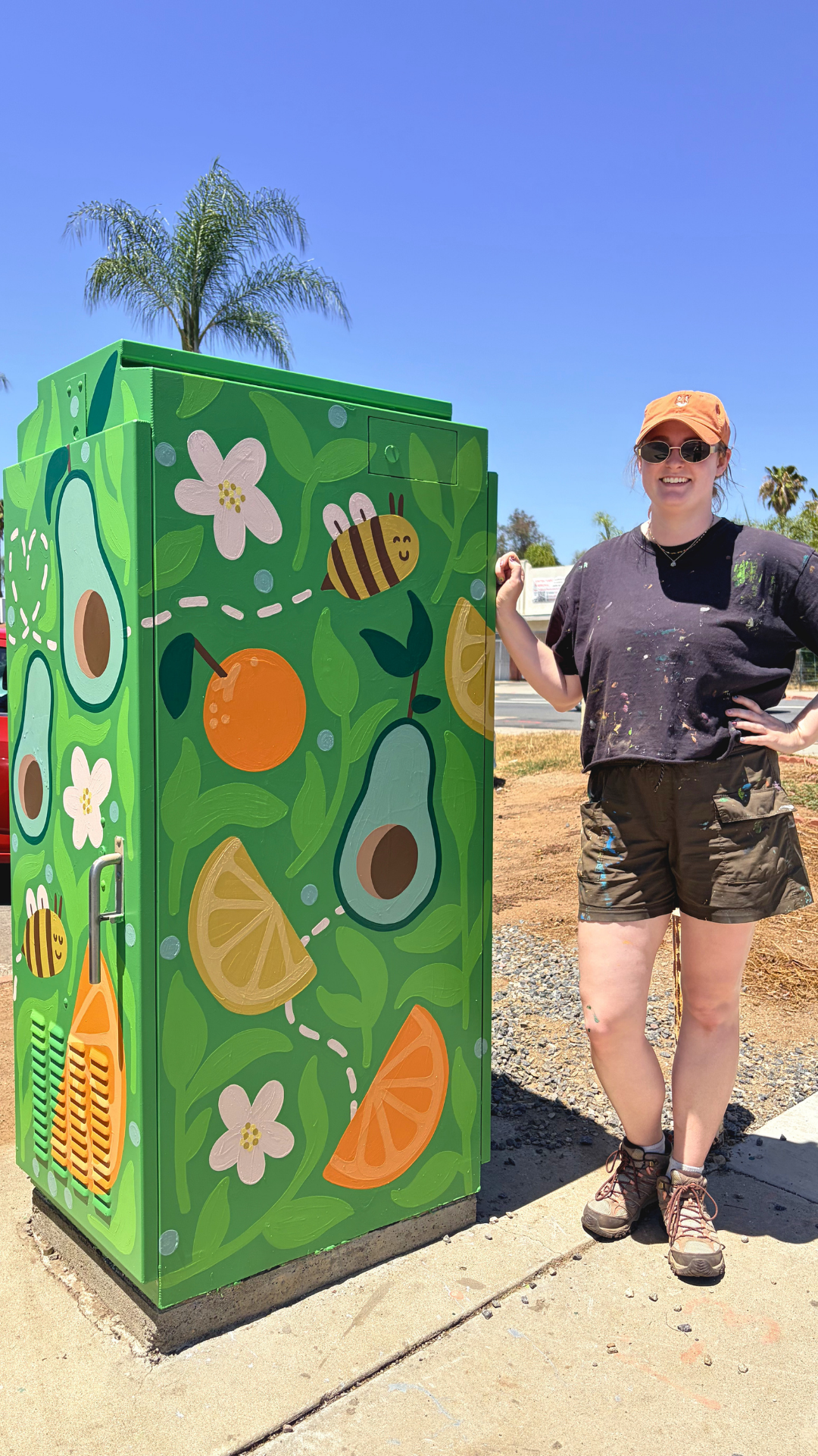 Bees &amp; Groves Utility Box in Escondido