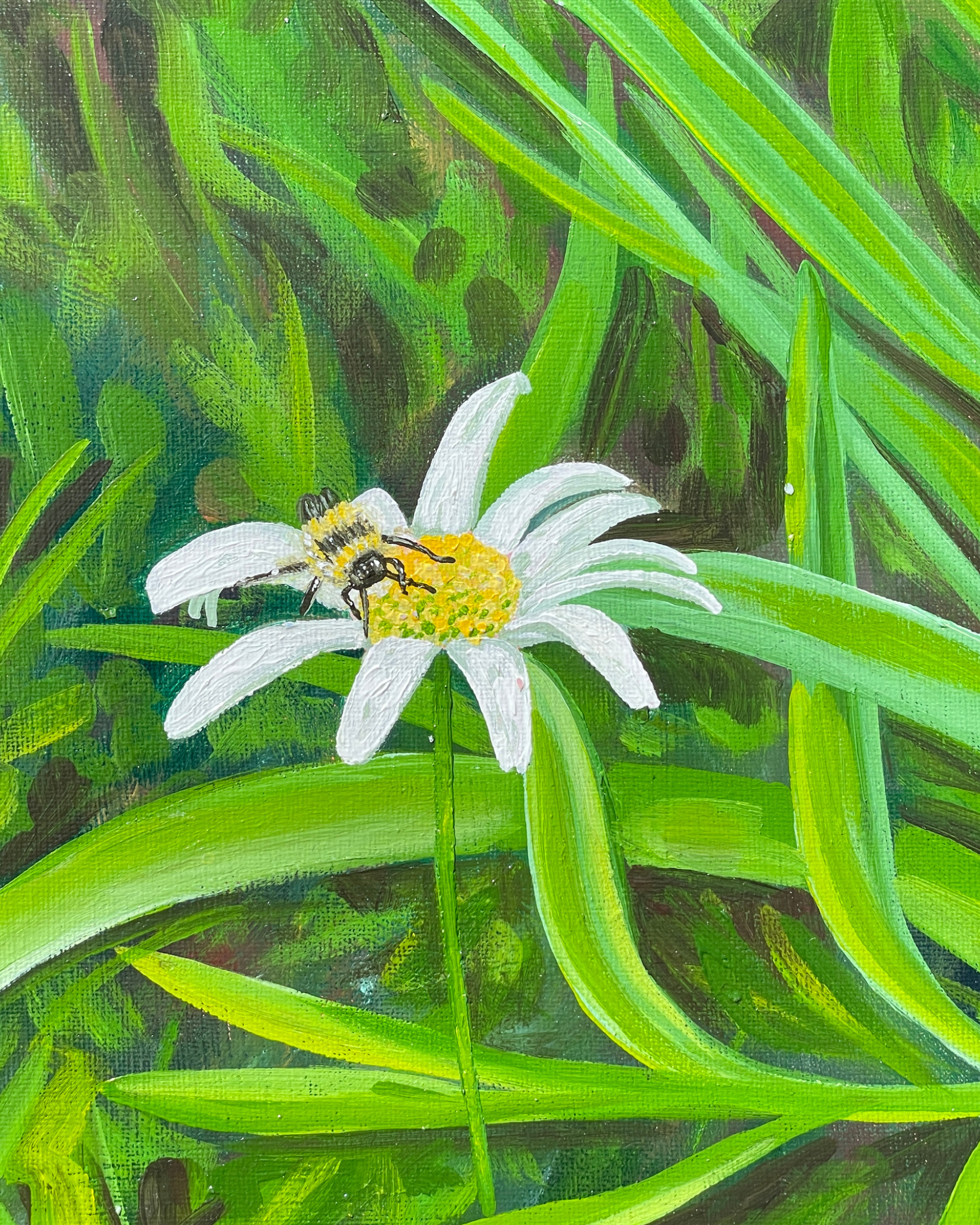 Yooper Daisy, 2026, Acrylic on Canvas, 8" x 10" Framed - $250