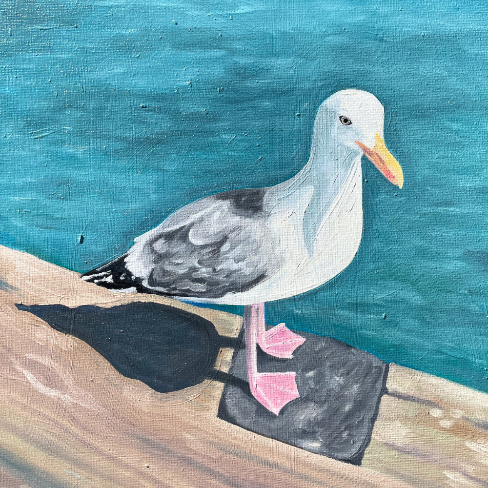 Seagull by the Sea