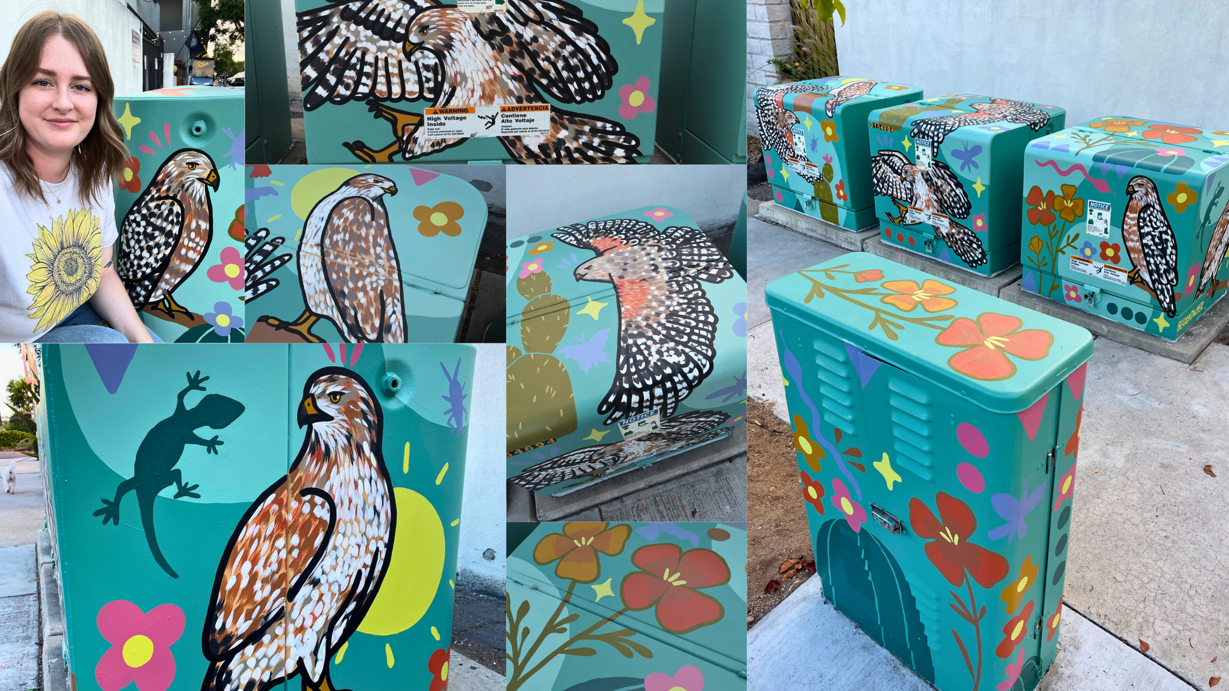Utility box artwork painted by San Diego artist Becca Dwyer as part of a Southern California public art project.