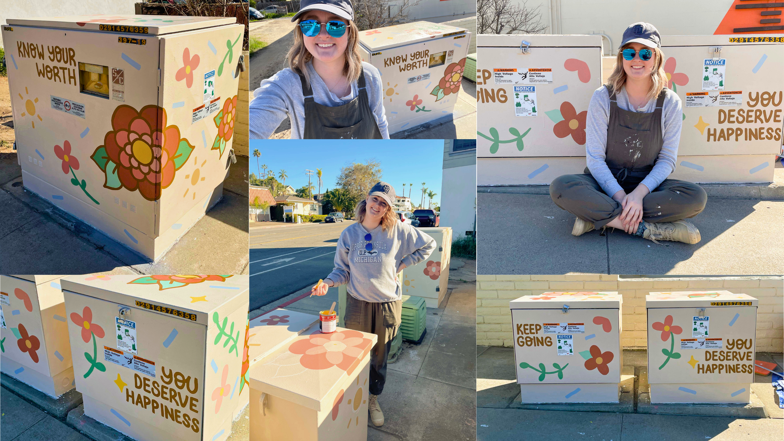Utility box artwork painted by San Diego artist Becca Dwyer as part of a Southern California public art project.