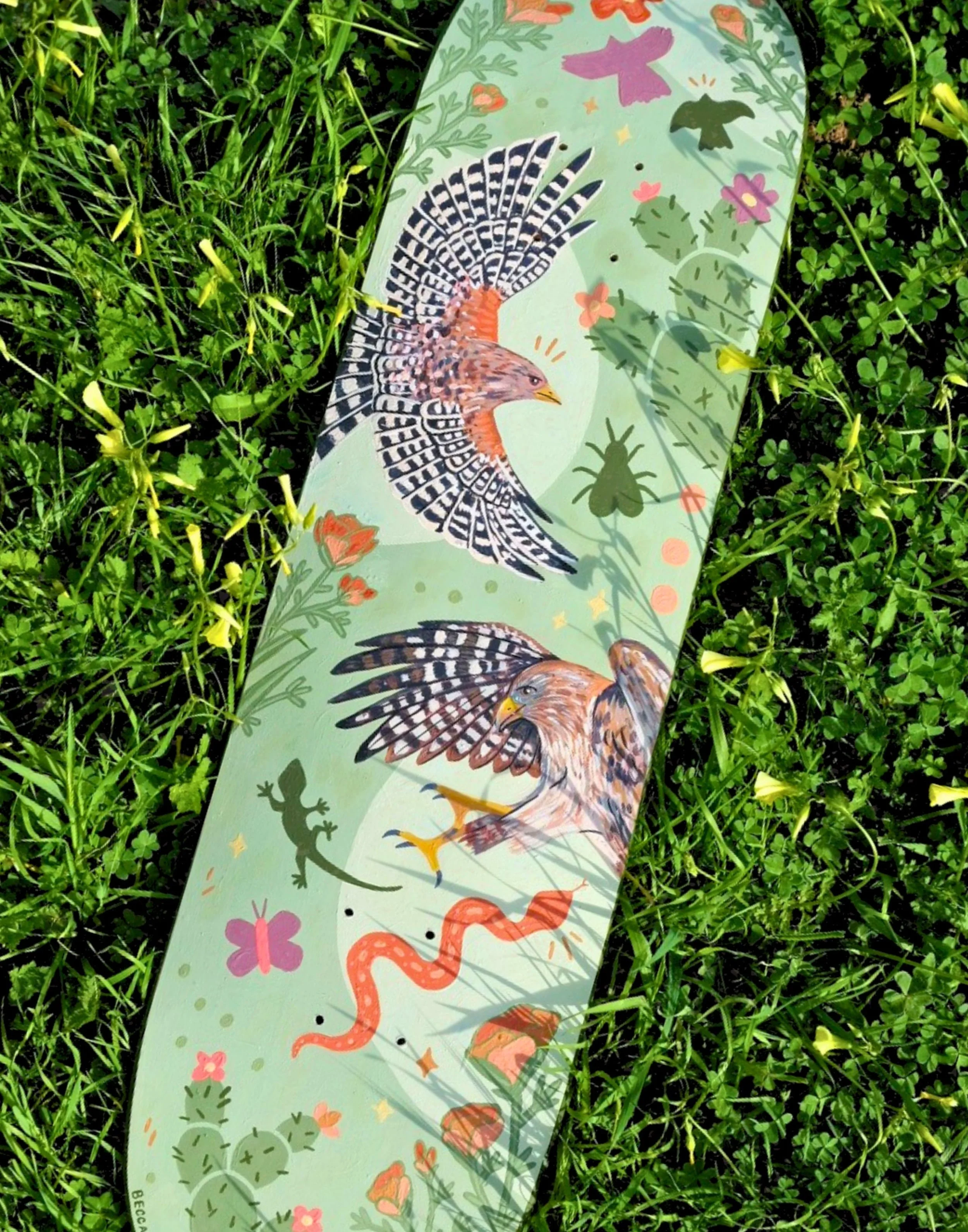 Hawk Skateboard Giclée Print, 2025,  16"x20" Framed - $200