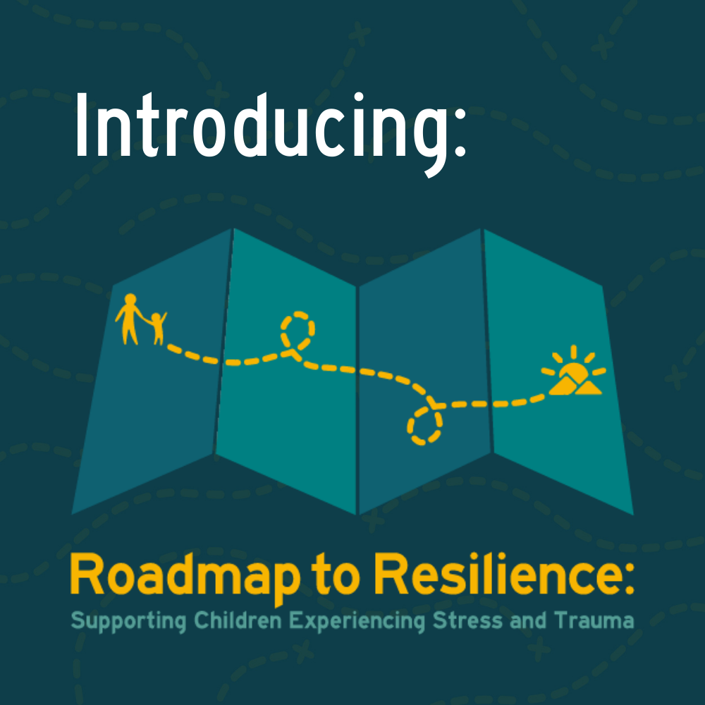Introducing Roadmap to Resilience Introducing Roadmap to Resilience