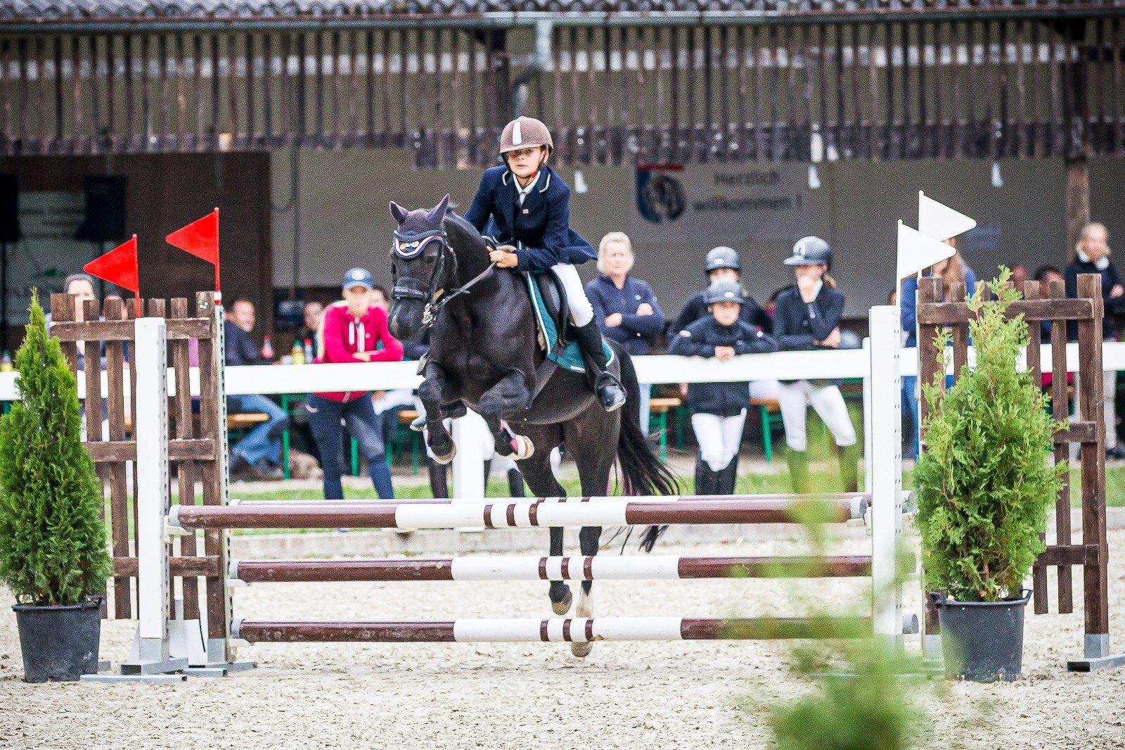 WhatsApp Image 2022-08-28 at 22.03.52(1).jpeg