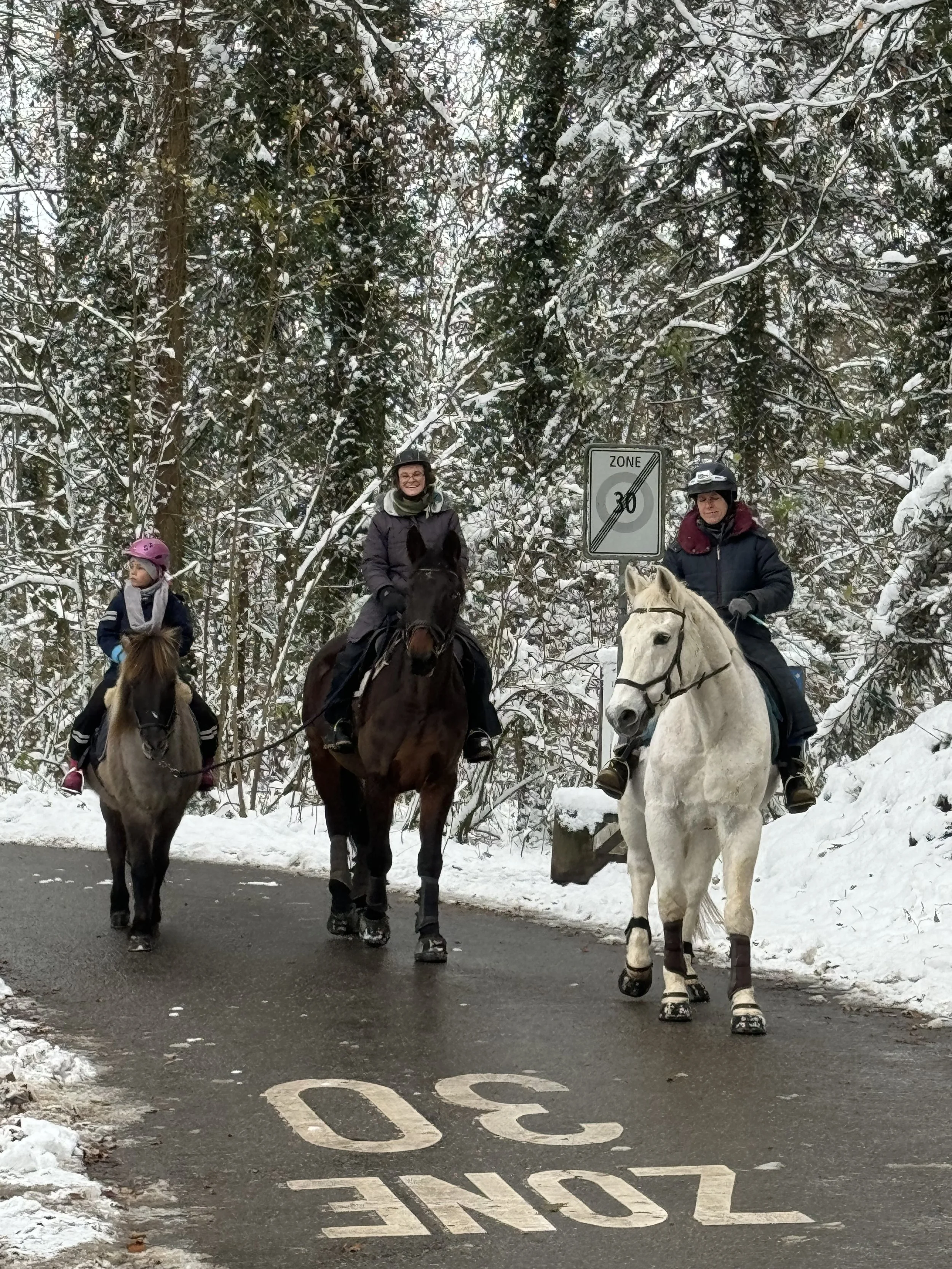 20241123_110200620_iOS 2.jpeg