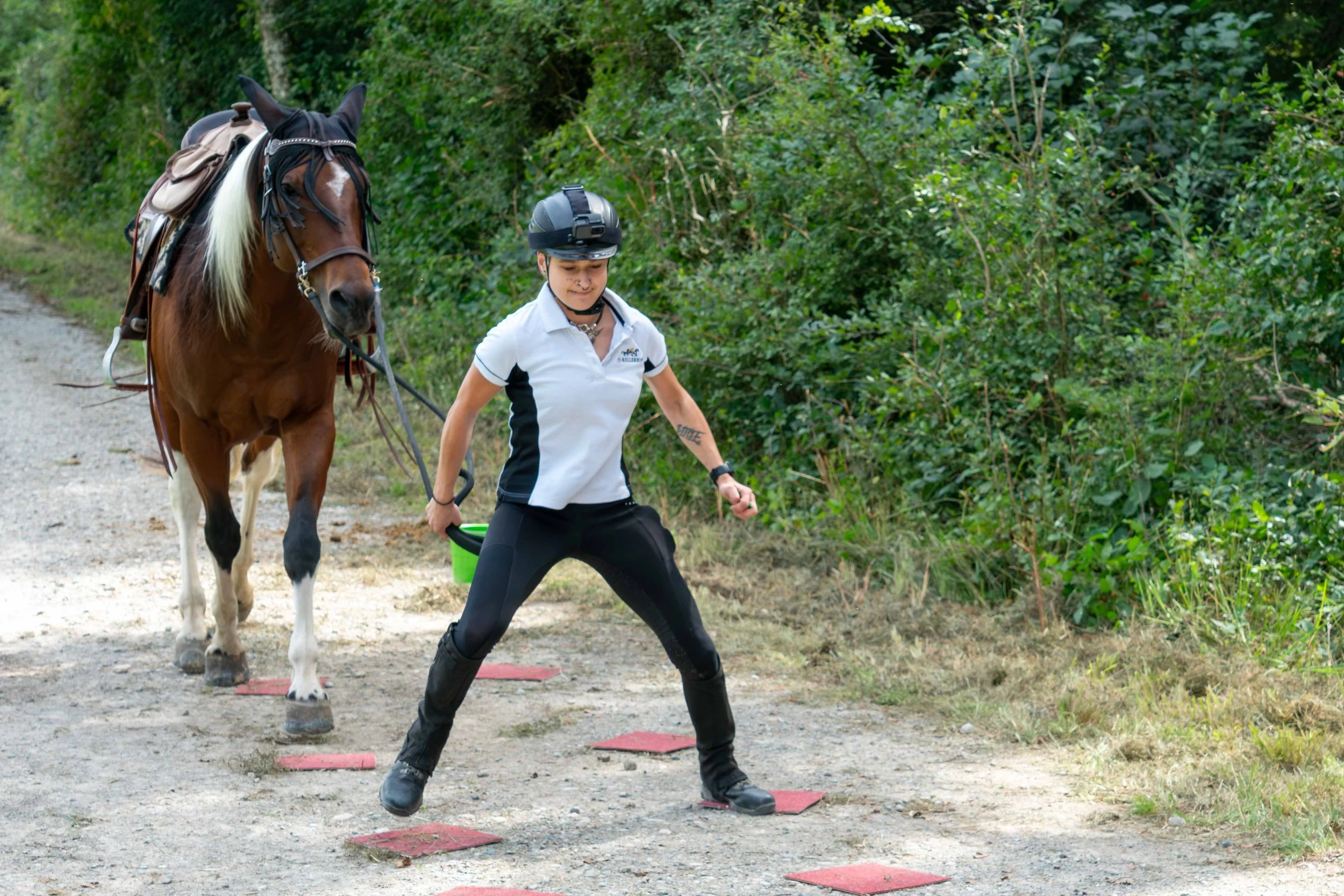 DSC08297-Verbessert-RR.jpg