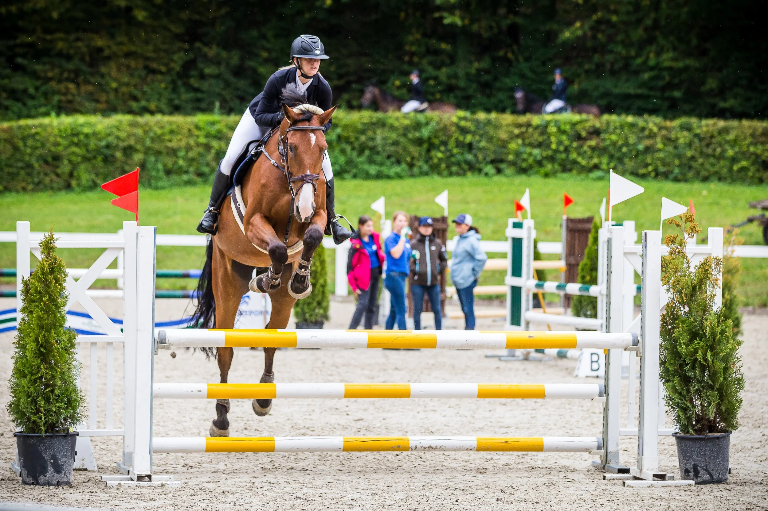 cs_high_9_br_95_sarah rütschi_2938.jpg