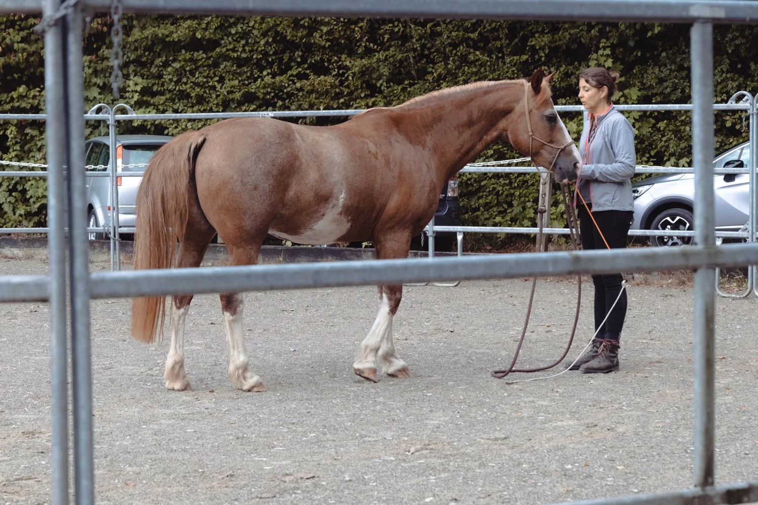 0XT48510.jpg