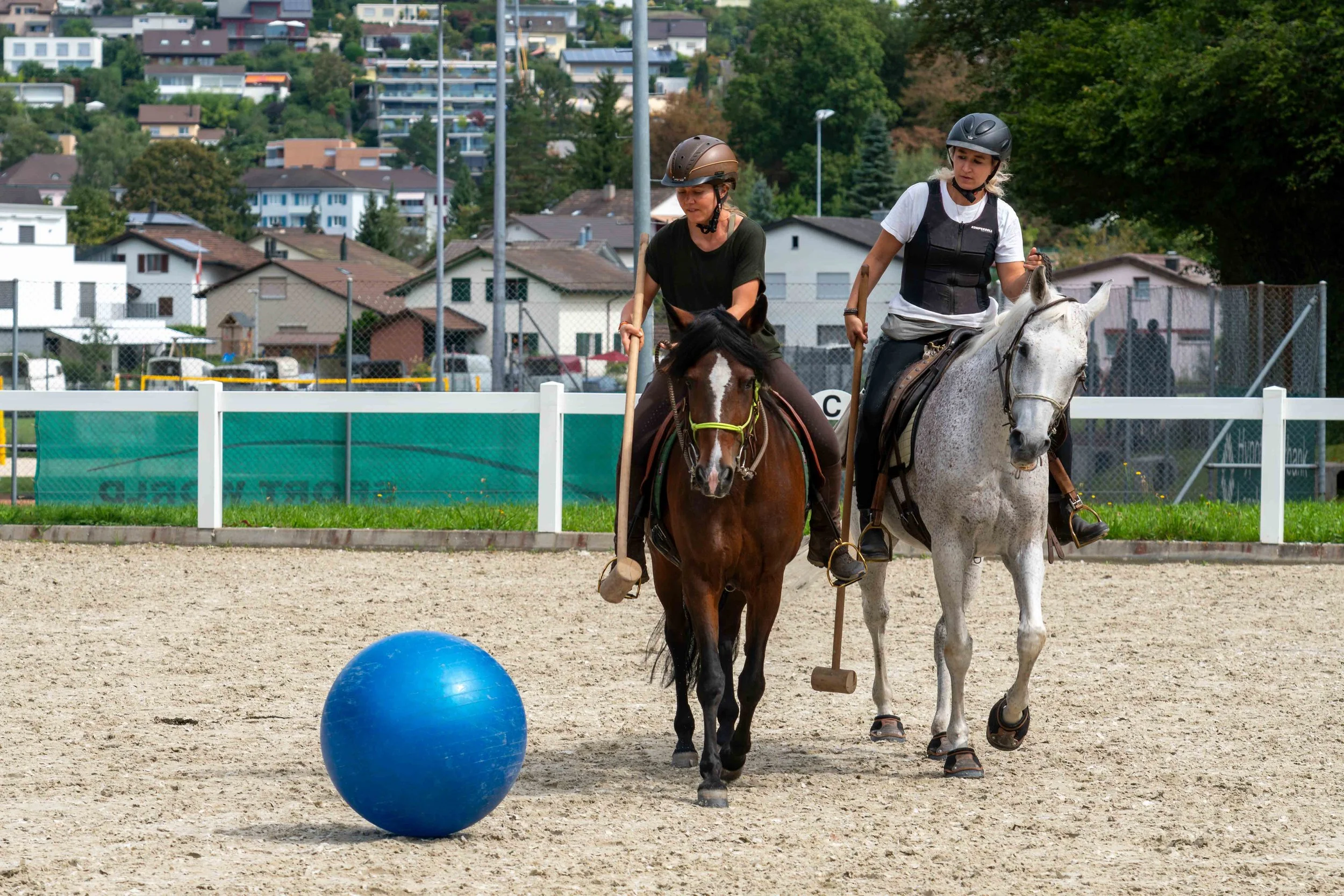DSC08135-Verbessert-RR.jpg