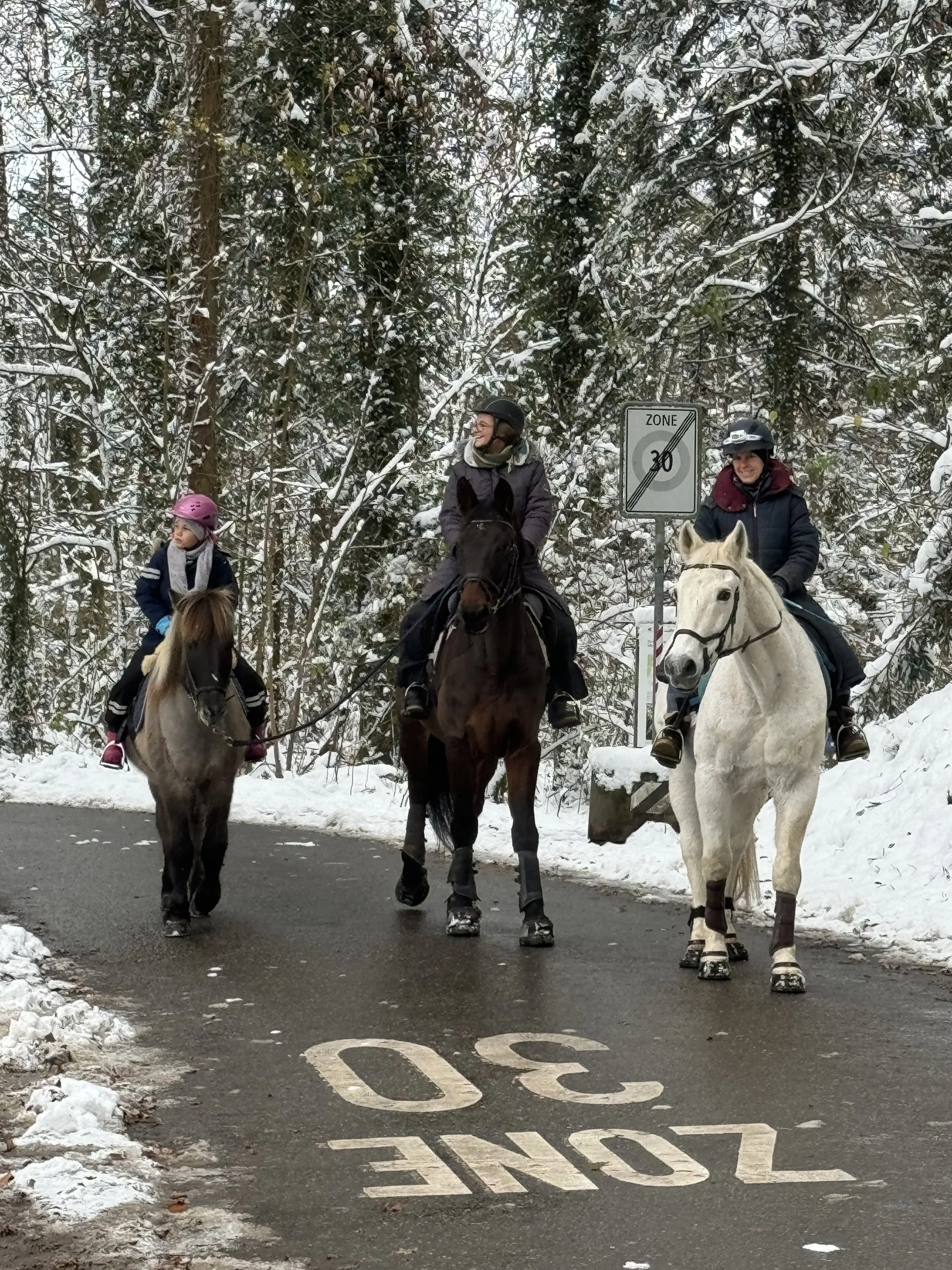 20241123_110202054_iOS 2.jpeg