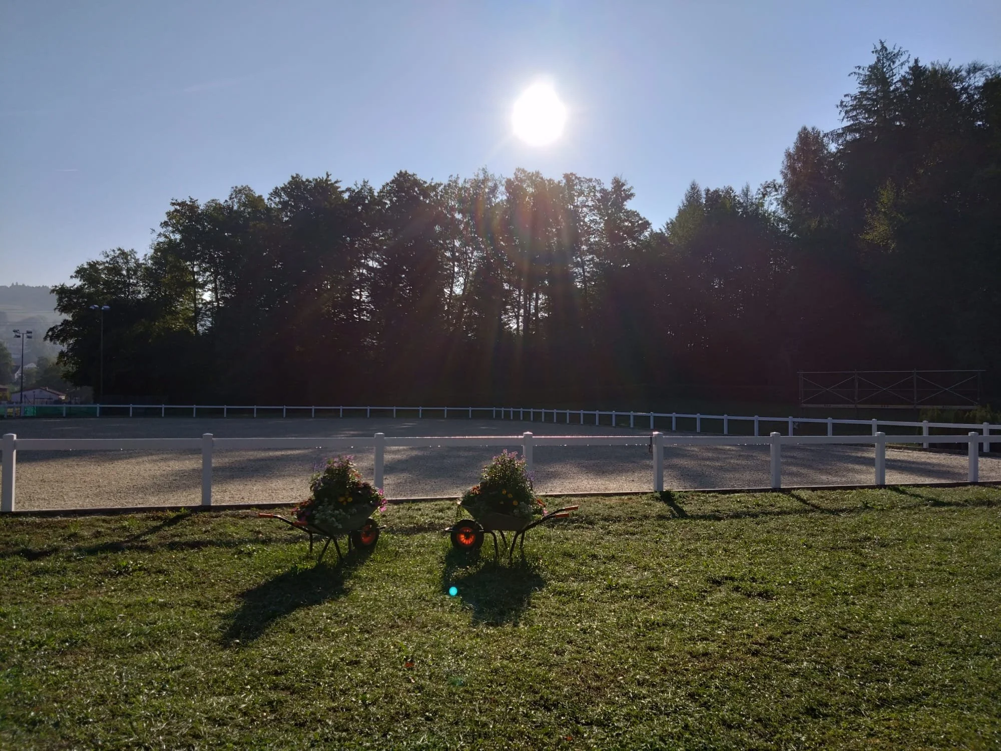 WhatsApp Image 2022-08-29 at 08.51.15.jpeg